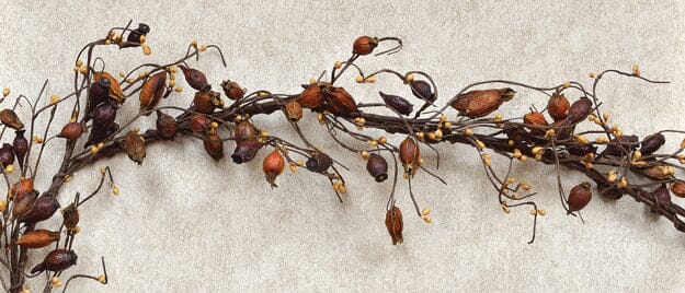 Dried Rose Hips